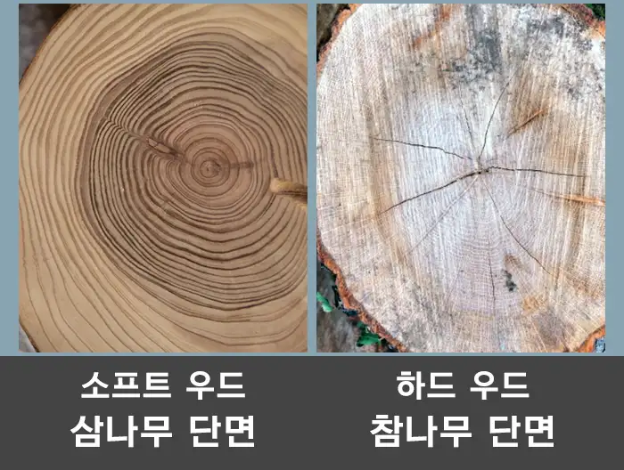 소프트 우드 vs 하드 우드 삼나무 참나무 단면 가구선택 인테리어