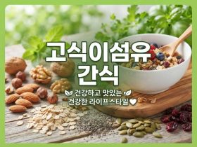 고식이섬유-간식-건강-스타일